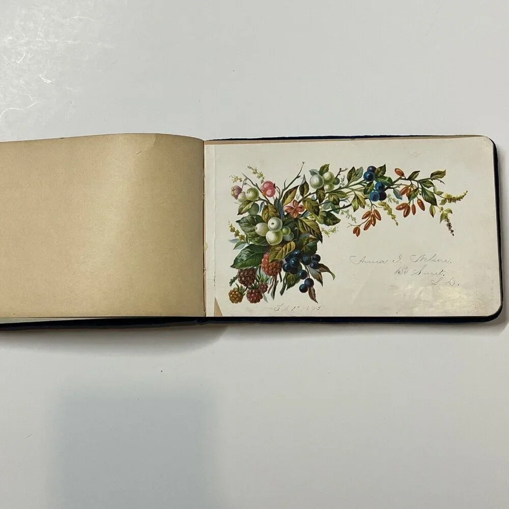 1880s Antique AUTOGRAPH ALBUM Blue Velvet Cover Anna J. Nelson Blooming Prairie